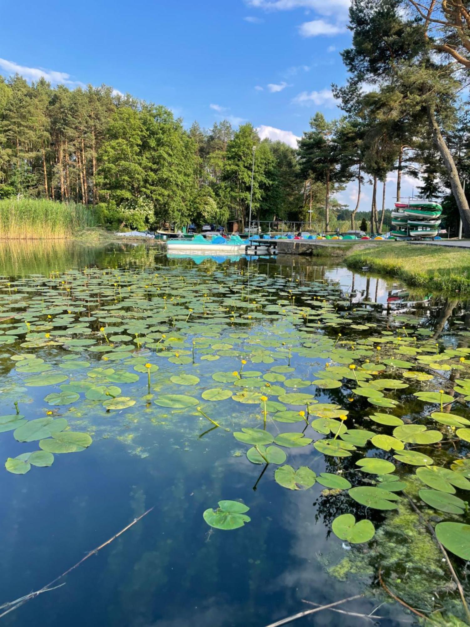 Osrodek Wypoczynkowy "Julia" W Samociazku Hotel Samociążek Bagian luar foto